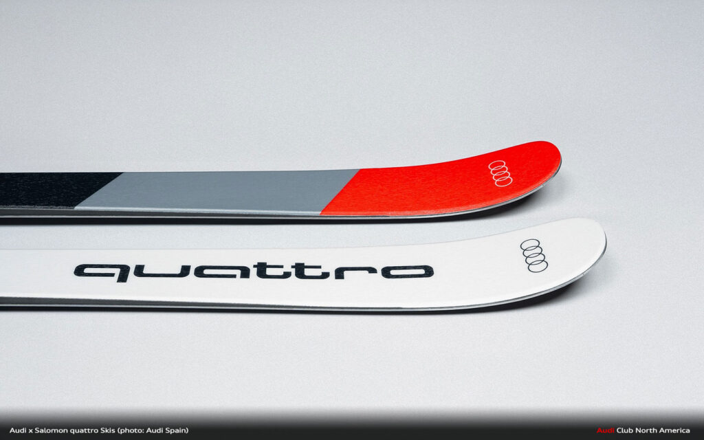 Salomon quattro edition 5