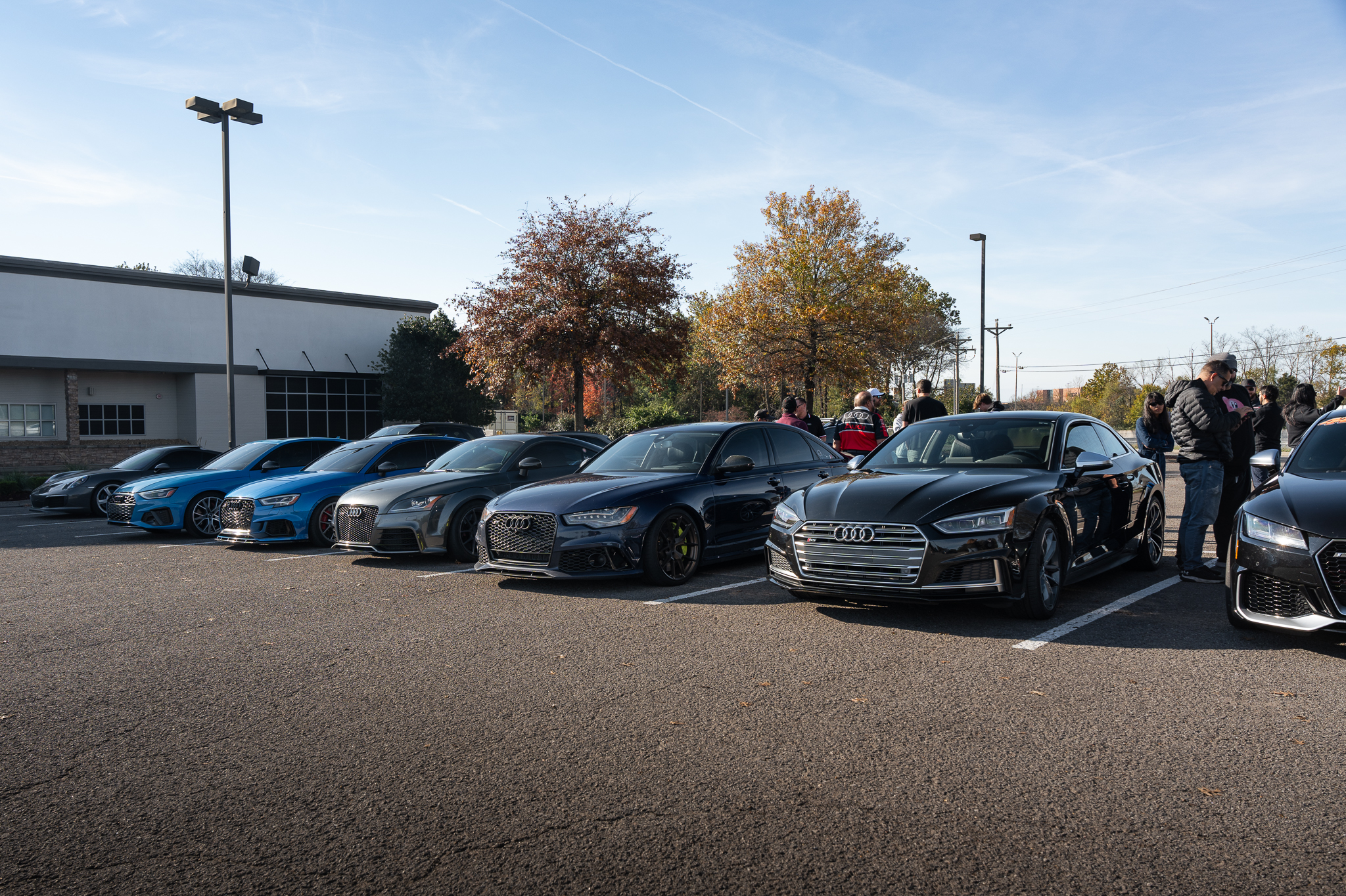 Audi Club TN web banner image