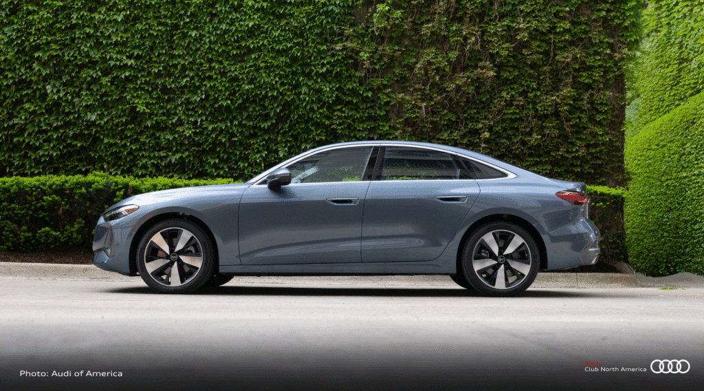 Header Image Use Every Time (3)