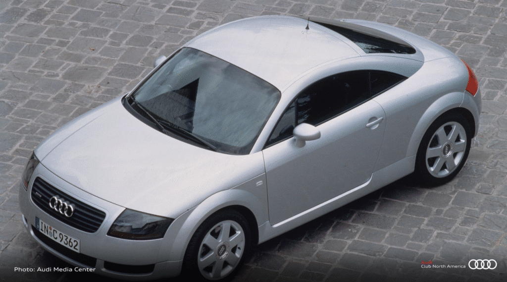 ACNA Watermark silver TT