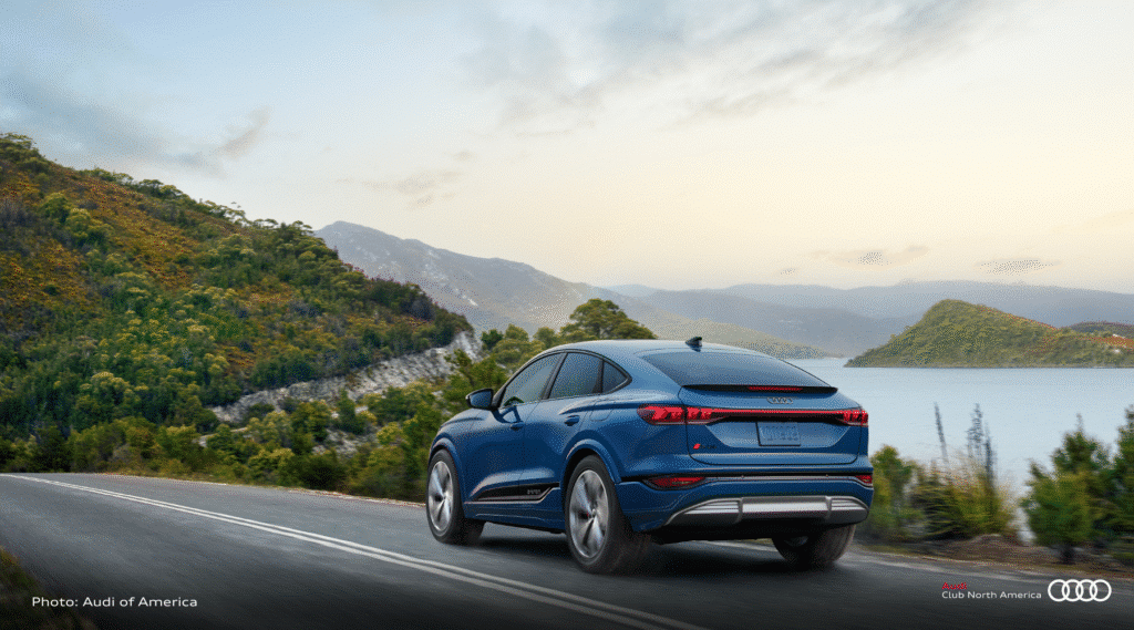 ACNA Watermark with Other Source