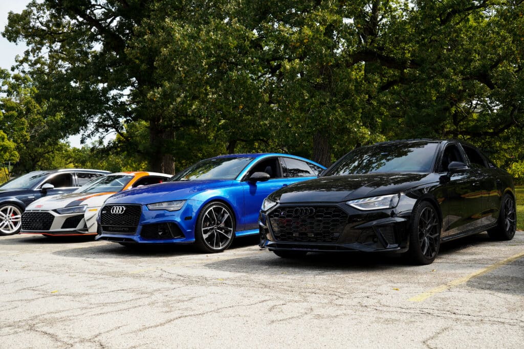 foxes fours rings xavier novoro a4 and black a3