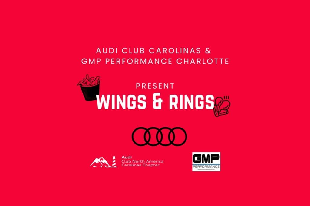 WINGS & RINGS ACNA BANNER