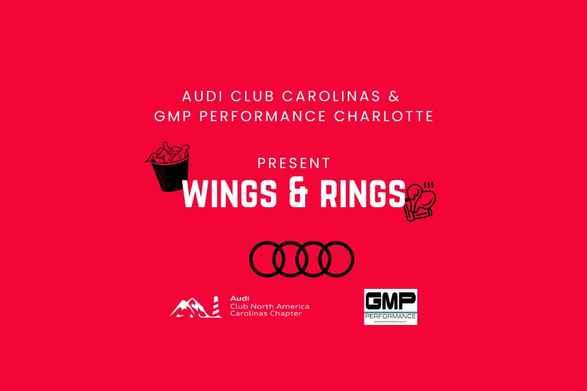 WINGS & RINGS ACNA BANNER