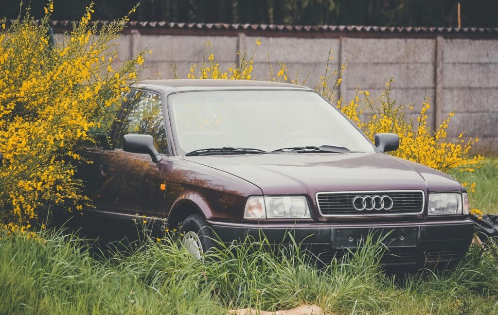 pexels maurice32 11967997