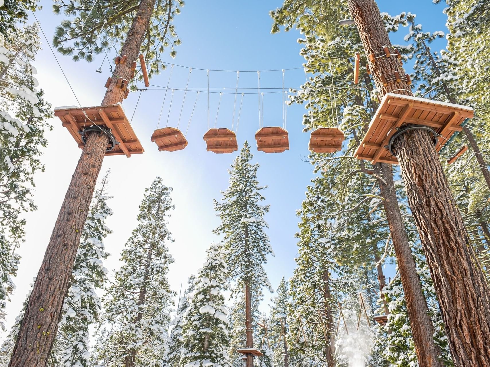 treetop adventure park winter 16 standard