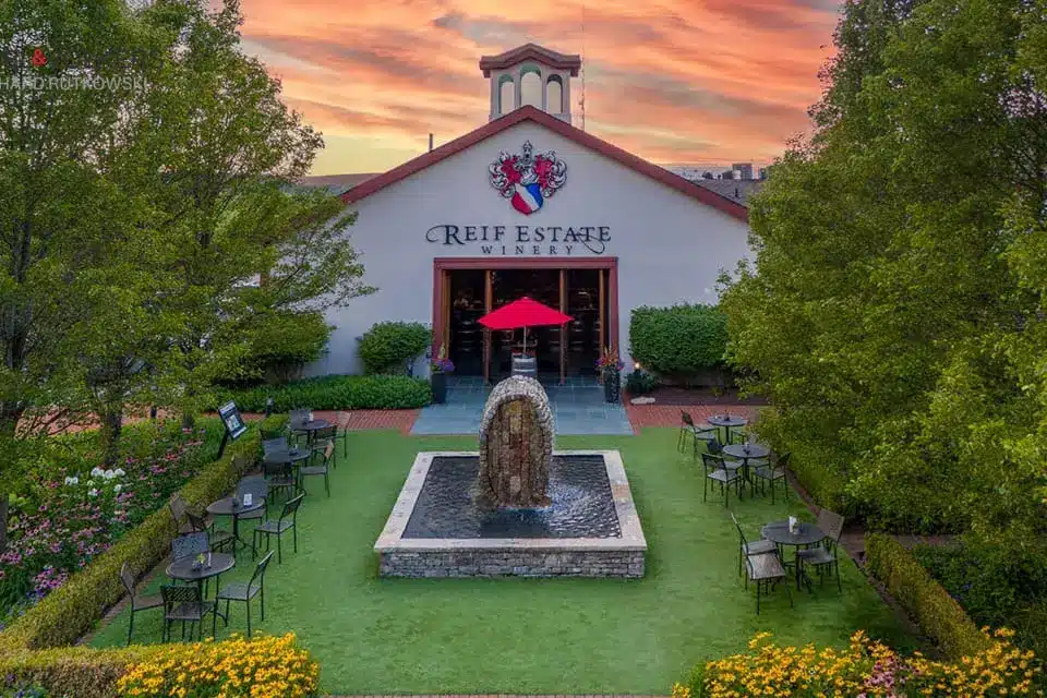 reif estate winery 4.jpg