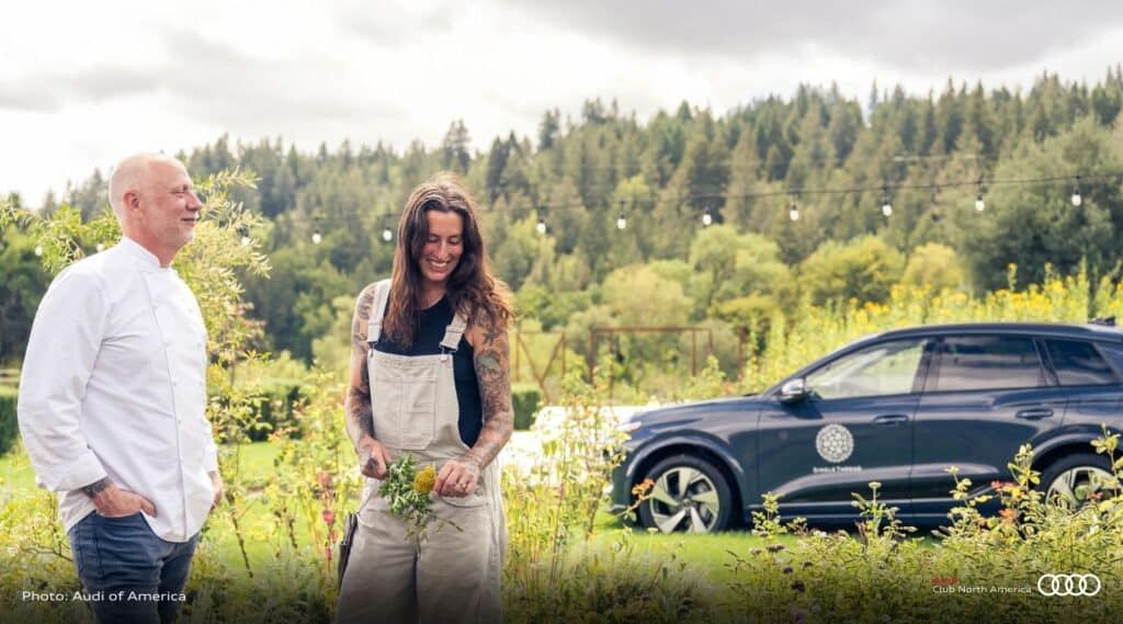 Audi in a field