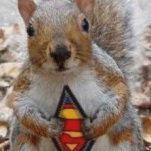 Profile photo of Jonathan