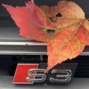 Profile photo of Ralf