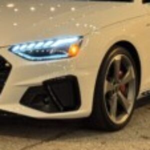 Profile photo of Robert